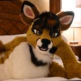 lotuslafawn from onlyfans